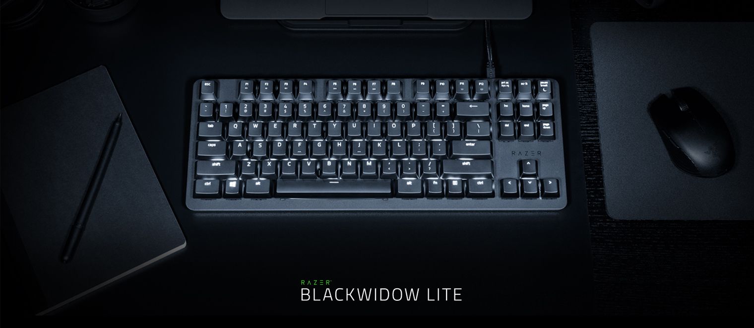 Razer lite. Клавиатура Razer BLACKWIDOW Lite. Razer BLACKWIDOW Lite Mercury. Razer BLACKWIDOW Lite, Black (Orange Switch). Razer BLACKWIDOW Lite фото.