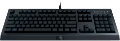 Клавиатура проводная Razer Cynosa Lite RGB Chroma USB (RZ03-02741500-R3R1) - фото 4 - интернет-магазин электроники и бытовой техники TTT