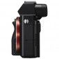 Фотоаппарат Sony Alpha a7S Body Black (ILCE7SB.CEC) - фото 5 - интернет-магазин электроники и бытовой техники TTT
