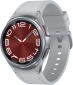 Смарт часы Samsung Galaxy Watch 6 Classic 43mm (SM-R950NZSASEK) Silver - фото 2 - интернет-магазин электроники и бытовой техники TTT