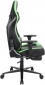 Крісло геймерське 1stPlayer DK1 Pro FR Black/Green - фото 3 - інтернет-магазин електроніки та побутової техніки TTT