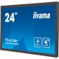 Монітор Iiyama ProLite T2455MSC-B1 - фото 3 - інтернет-магазин електроніки та побутової техніки TTT