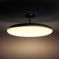 Смарт-світильник PHILIPS Cher Hue ceiling-pendant lamp 1x39W 24V (40969/30/P7) Black - фото 4 - інтернет-магазин електроніки та побутової техніки TTT