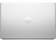 Ноутбук HP ProBook 455 G10 (7L760ET) Pike Silver - фото 2 - интернет-магазин электроники и бытовой техники TTT