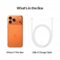 Смартфон Apple iPhone 17 Pro Max 1TB (MFYW4AF/A) Cosmic Orange - фото 8 - интернет-магазин электроники и бытовой техники TTT