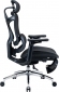 Кресло офисное Sihoo DORO C300L (DORO-C300L-A3-101-JT) Mesh Black - фото 3 - интернет-магазин электроники и бытовой техники TTT