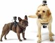 Держатель для экшн-камеры на собаку GoPro (ADOGM-001) - фото 3 - интернет-магазин электроники и бытовой техники TTT