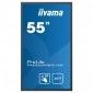 Монитор Iiyama ProLite TH5565MIS-B1AG - фото 5 - интернет-магазин электроники и бытовой техники TTT