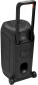 Акустическая система JBL PartyBox 330 280W RGB (JBLPB330BLKEP) Black - фото 3 - интернет-магазин электроники и бытовой техники TTT