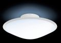 Смарт-светильник PHILIPS COL Phoenix ceiling lamp (31151/31/PH) Opal White - фото 3 - интернет-магазин электроники и бытовой техники TTT