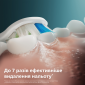 Насадки для зубной щетки PHILIPS Sonicare HX6068/87 W2 Optimal White - фото 3 - интернет-магазин электроники и бытовой техники TTT