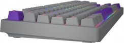 Клавиатура проводная HATOR Rockfall 2 Autograph Edition Mecha TKL Aurum Choco USB (HTK-526) Titanium  - фото 5 - интернет-магазин электроники и бытовой техники TTT