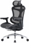 Кресло офисное SIHOO DORO C300L (DORO-C300L-A3-101) Mesh Black  - фото 4 - интернет-магазин электроники и бытовой техники TTT