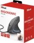 Мышь Trust Verto Ergonomic USB (22885) - фото 8 - интернет-магазин электроники и бытовой техники TTT