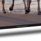 Телевизор Thomson 65UA5S13 - фото 8 - интернет-магазин электроники и бытовой техники TTT