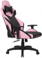 Кресло геймерское 1stPlayer WIN101 Black-Pink - фото 5 - интернет-магазин электроники и бытовой техники TTT