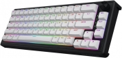 Клавиатура проводная Hator Skyfall 65 MAG ULTRA 8K Aurum Ice RGB USB (HTK1860UA) Black/White  - фото 3 - интернет-магазин электроники и бытовой техники TTT