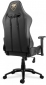 Крісло для геймерів Cougar Outrider Royal - фото 3 - інтернет-магазин електроніки та побутової техніки TTT