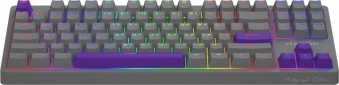 Клавиатура проводная HATOR Rockfall 2 Autograph Edition Mecha TKL Aurum Choco USB (HTK-526) Titanium  - фото 2 - интернет-магазин электроники и бытовой техники TTT
