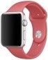 Ремешок Apple Sport Band for Apple Watch 38mm Pink (3 straps) - фото 3 - интернет-магазин электроники и бытовой техники TTT