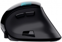 Мышь Trust Voxx Ergonomic Wireless/Bluetooth (TR23731) Black  - фото 5 - интернет-магазин электроники и бытовой техники TTT