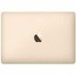 Ноутбук Apple MacBook A1534 12