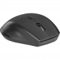 Миша Defender Accura MM-365 Wireless (52365) Black  - фото 3 - інтернет-магазин електроніки та побутової техніки TTT