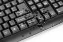 Клавіатура дротова Trust ClassicLine USB UKR Black (20637) - фото 3 - інтернет-магазин електроніки та побутової техніки TTT