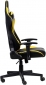 Крісло геймерське 1stPlayer FK2 Black-Yellow - фото 3 - інтернет-магазин електроніки та побутової техніки TTT