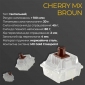 Клавіатура Ducky One 3 TKL Cherry MX Brown RGB UA USB (DKON2187ST-BUAPXPWWWSC1) White - фото 2 - інтернет-магазин електроніки та побутової техніки TTT