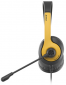Наушники A4Tech FH100U Bumblebee - фото 2 - интернет-магазин электроники и бытовой техники TTT