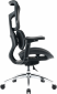 Кресло офисное SIHOO DORO S100 (S100-M301) Mesh Black  - фото 3 - интернет-магазин электроники и бытовой техники TTT