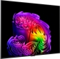 Телевізор LG OLED55G64LW - фото 5 - інтернет-магазин електроніки та побутової техніки TTT