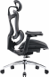 Кресло офисное SIHOO DORO C300L (DORO-C300L-A3-101) Mesh Black  - фото 3 - интернет-магазин электроники и бытовой техники TTT