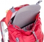 Рюкзак Deuter Waldfuchs 14л (3610117 5553) Cranberry-coral  - фото 2 - интернет-магазин электроники и бытовой техники TTT