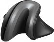 Мышь Trust Verro Ergonomic Wireless (23507) - фото 2 - интернет-магазин электроники и бытовой техники TTT