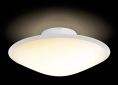 Смарт-светильник PHILIPS COL Phoenix ceiling lamp (31151/31/PH) Opal White - фото 4 - интернет-магазин электроники и бытовой техники TTT