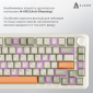 Клавіатура бездротова Ajazz AK820 MAX Flying Fish Switch RGB Wireless/Bluetooth/USB (AK820MAX-FF-R) Beige  - фото 4 - інтернет-магазин електроніки та побутової техніки TTT