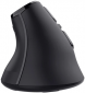 Мышь Trust Voxx Ergonomic Wireless/Bluetooth (TR23731) Black  - фото 2 - интернет-магазин электроники и бытовой техники TTT