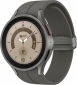 Смарт часы Samsung Galaxy Watch 5 Pro (SM-R920NZTASEK) Titanium - фото 2 - интернет-магазин электроники и бытовой техники TTT