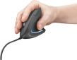 Мышь Trust Verto Ergonomic USB (22885) - фото 6 - интернет-магазин электроники и бытовой техники TTT