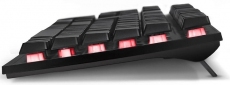 Клавиатура проводная Real-El Comfort 7011 Backlit USB (EL123100043) Back - фото 7 - интернет-магазин электроники и бытовой техники TTT