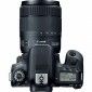 Фотоаппарат Canon EOS 77D EF-S 18-135mm IS USM Kit Black (1892C024) - фото 4 - интернет-магазин электроники и бытовой техники TTT