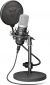 Микрофон Trust GXT 252 Emita Streaming Microphone (21753) - фото 2 - интернет-магазин электроники и бытовой техники TTT
