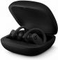 Наушники BEATS Powerbeats Pro (MV6Y2) Black  - фото 2 - интернет-магазин электроники и бытовой техники TTT