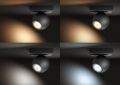 Смарт-светильник PHILIPS BUCKRAM single spot 1x5.5W 240V (50471/30/P7) Black - фото 2 - интернет-магазин электроники и бытовой техники TTT