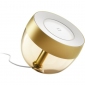 Светильник умный Philips Hue Iris 2000K-6500K Color Bluetooth (929002376402) Gold - фото 2 - интернет-магазин электроники и бытовой техники TTT