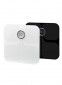 Весы Fitbit Aria Black (FB201B) - фото 2 - интернет-магазин электроники и бытовой техники TTT