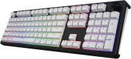Клавіатура бездротова Hator Skyfall 100 Aurum Lemon RGB Wireless/Bluetooth/USB (HTK3100UA) Black/White  - фото 3 - інтернет-магазин електроніки та побутової техніки TTT