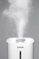 Зволожувач повітря Gorenje H45W - фото 4 - інтернет-магазин електроніки та побутової техніки TTT